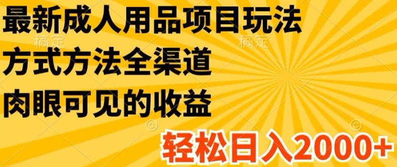 最新成人用品项目玩法，方式方法全渠道，轻松日入2K+【揭秘】-聊项目