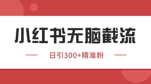 小红书只要你有同行就能获客，独家野路子获客玩法，暴力截流【揭秘】-聊项目