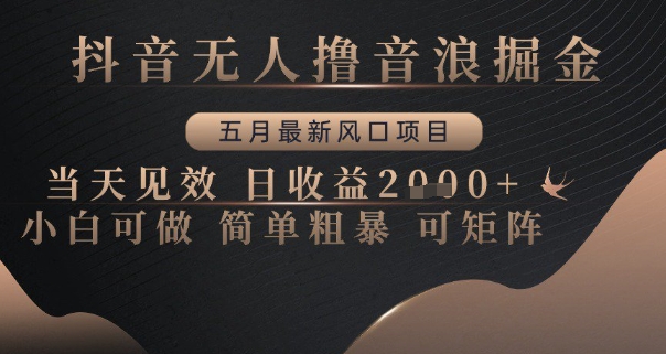 抖音无人撸音浪掘金，五月最新风口项目，当天见效，日收益多张，小白可做简单粗暴可矩阵【揭秘】-聊项目