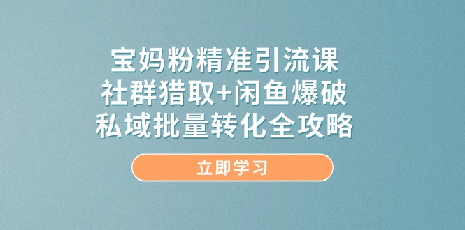宝妈粉精准引流课，社群猎取+闲鱼爆破，私域批量转化全攻略-聊项目