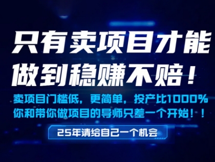 只有卖项目才能做到稳挣不赔，门槛低，更简单，你也可以年入百个W【揭秘】-聊项目