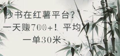 抄书在小红薯平台？平均一单30米，一天收益几张！-聊项目