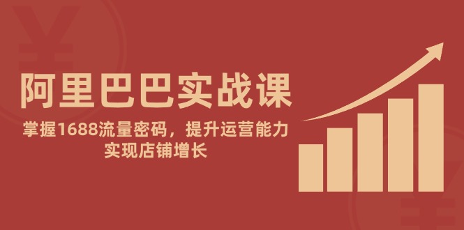 阿里巴巴实战课：掌握1688流量密码，提升运营能力，实现店铺增长-聊项目