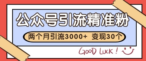 公众号精准粉引流玩法，2个月3000+精准粉，变现30个W【揭秘】-聊项目