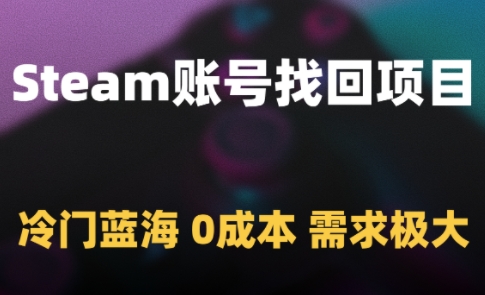 Steam账号找回项目，冷门蓝海，0成本，需求极大-聊项目
