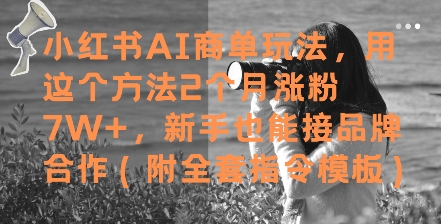 小红书AI商单玩法，用这个方法2个月涨粉7W+，新手也能接品牌合作(附全套指令模板)-聊项目