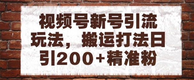 视频号新号引流玩法，搬运打法日引200+精准粉，可矩阵放大【揭秘】-聊项目