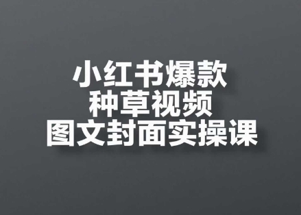 小红书爆款种草视频图文封面实操课，​开店、选品、引流、变现全流程-聊项目
