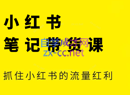张宾·小红书笔记带货课(更新5月)-聊项目