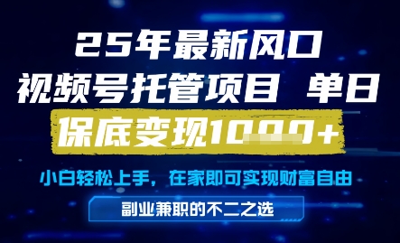 25年最新风口，视频号托管项目，单日保底变现1k+，手把手教学【揭秘】-聊项目