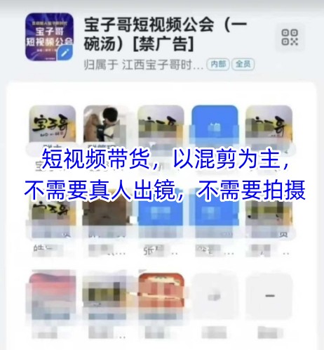 宝子哥头部团队短视频带货，以混剪为主，不需要真人出镜，不需要拍摄【更新】-聊项目