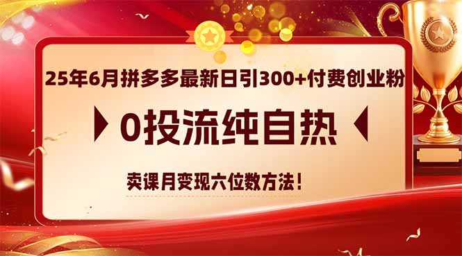 25年6月拼多多最新日引300+付费创业粉，0投流纯自热 卖课月变现六位数方法-聊项目
