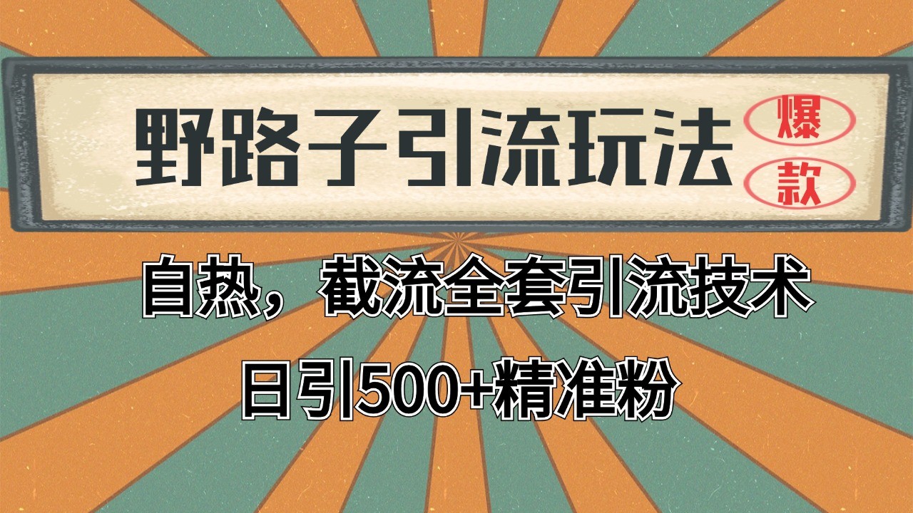 2024首发野路子引流玩法截流自热全平台打法，全自动引流【日引2000+精准客户】-聊项目